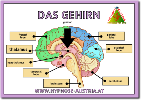 Hypnosecenter Graz-Lexikon-t