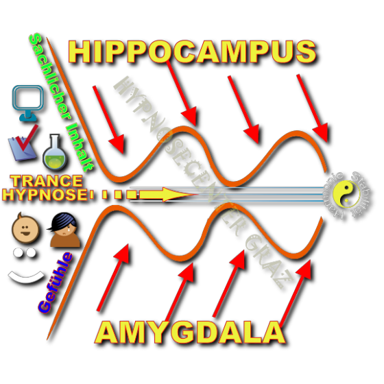 Hypnosecenter Graz-Gehirn-Hippocampus